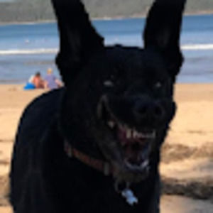 Meet your Posher, Walter